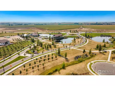 1738 Thrive Dr, Windsor, CO 80550 photo 26