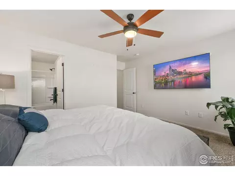 1738 Thrive Dr, Windsor, CO 80550 photo 12