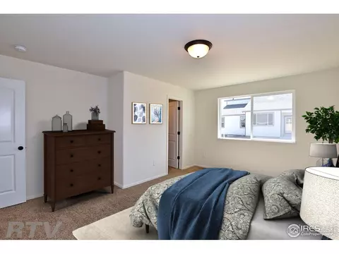 1036 Kendalbrook Dr, Windsor, CO 80550 photo 8
