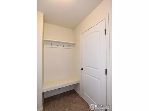 1012 Greenbrook Dr, Windsor, CO 80550 photo 25