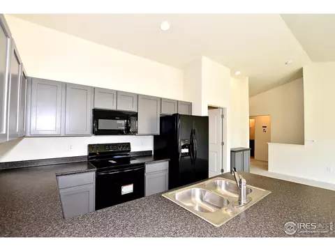 1012 Greenbrook Dr, Windsor, CO 80550 photo 21