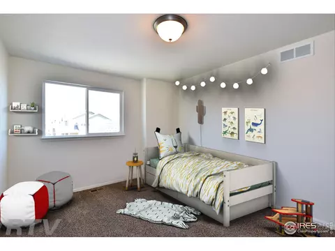 907 Greenbrook Dr, Windsor, CO 80550 photo 9