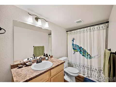 1808 Rise Dr, Windsor, CO 80550 photo 24
