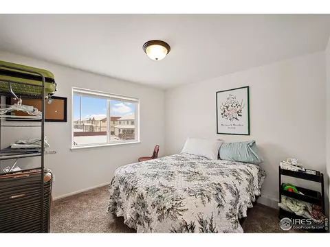 1808 Rise Dr, Windsor, CO 80550 photo 17