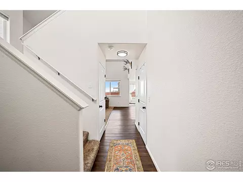 1808 Rise Dr, Windsor, CO 80550 photo 5