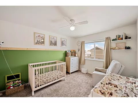 1808 Rise Dr, Windsor, CO 80550 photo 15