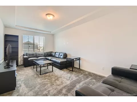 18096 E 53rd Dr, Denver, CO 80249 photo 23