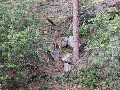 1942 Timber Ln, Boulder, CO 80304 photo 37