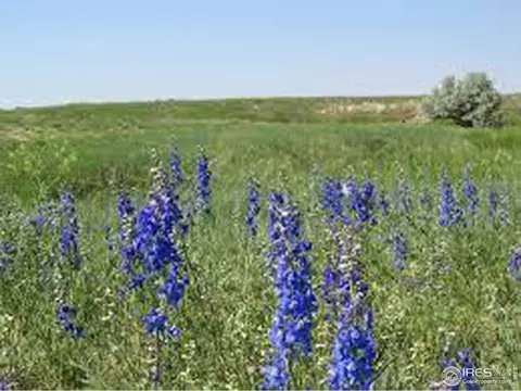 0 Lot 5 County Road 102, Nunn, CO 80648