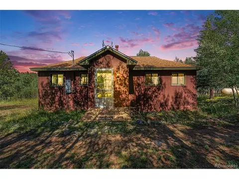 107 Gold Flake Ter, Bailey, CO 80421