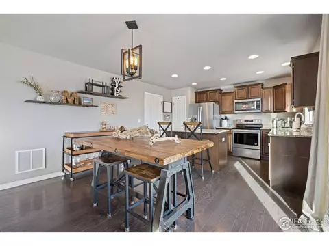 1198 Bowen Pass St, Severance, CO 80550 photo 10