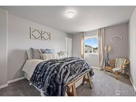 1198 Bowen Pass St, Severance, CO 80550 photo 23