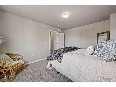 1198 Bowen Pass St, Severance, CO 80550 photo 24