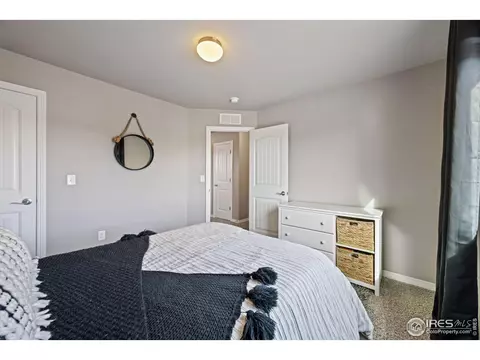 1198 Bowen Pass St, Severance, CO 80550 photo 21