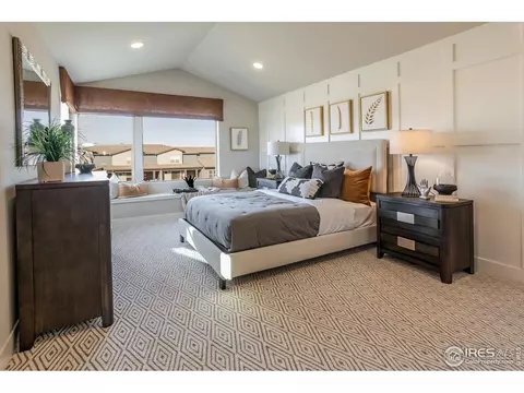 5232 Ribault St, Timnath, CO 80547 photo 22