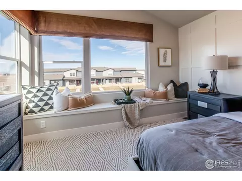 5232 Ribault St, Timnath, CO 80547 photo 23