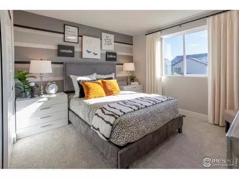 5232 Ribault St, Timnath, CO 80547 photo 28