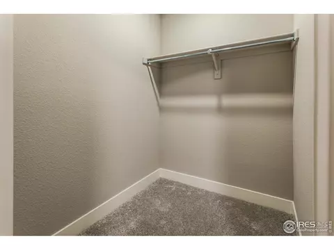 5232 Ribault St, Timnath, CO 80547 photo 29