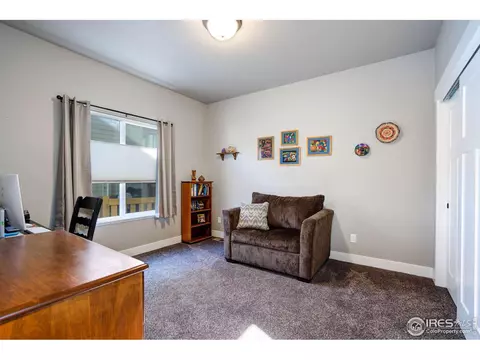 5079 Long Dr, Timnath, CO 80547 photo 20