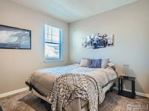 1911 Raindrop Dr, Windsor, CO 80550 photo 17