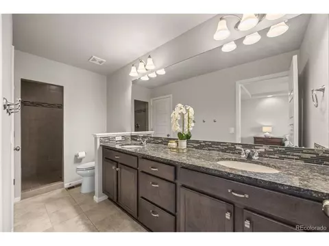 Bath - 20162 E 53rd Pl, Denver, CO 80249 photo 4 of 4