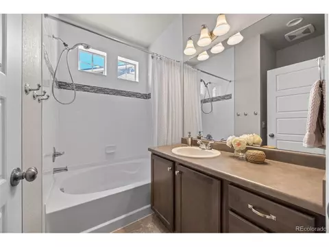 Bath - 20162 E 53rd Pl, Denver, CO 80249 photo 3 of 4