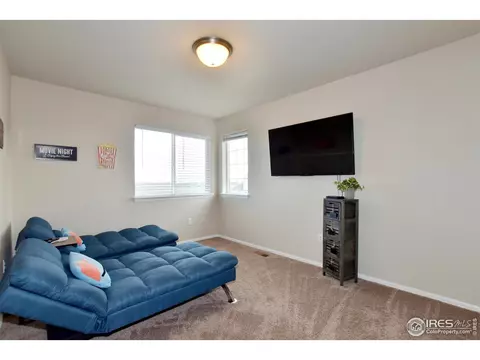 1308 Chamois Dr, Severance, CO 80550 photo 19
