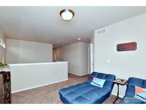1308 Chamois Dr, Severance, CO 80550 photo 20