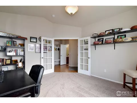 1308 Chamois Dr, Severance, CO 80550 photo 6