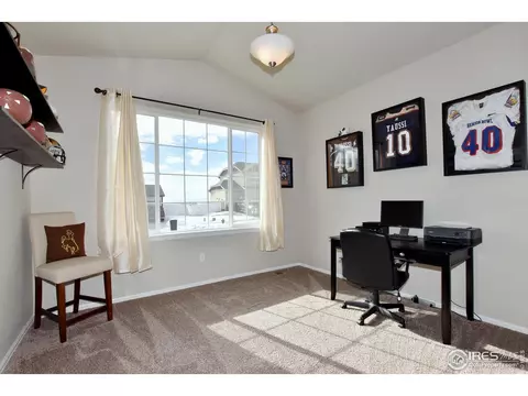 1308 Chamois Dr, Severance, CO 80550 photo 5