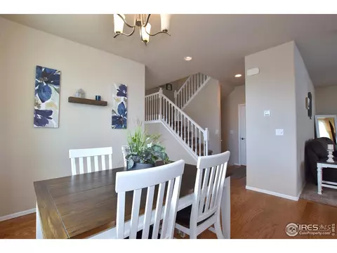 1308 Chamois Dr, Severance, CO 80550 photo 13