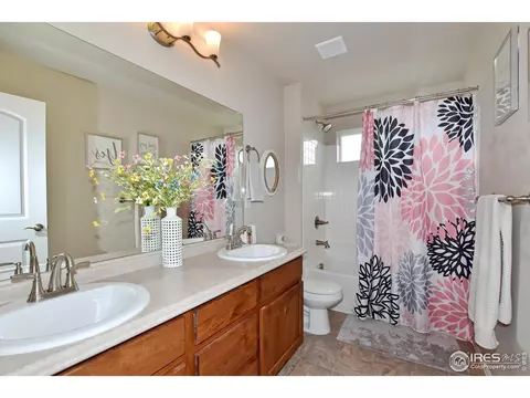1308 Chamois Dr, Severance, CO 80550 photo 28