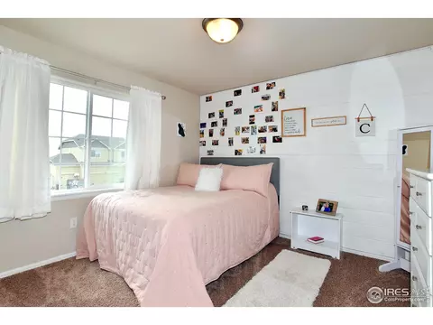1308 Chamois Dr, Severance, CO 80550 photo 26