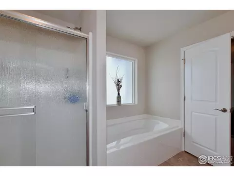 1308 Chamois Dr, Severance, CO 80550 photo 25