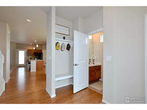 1308 Chamois Dr, Severance, CO 80550 photo 4