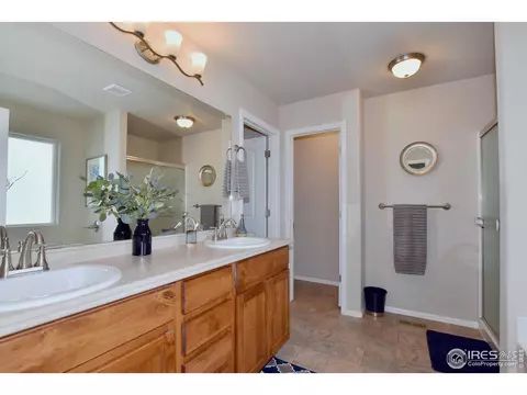 1308 Chamois Dr, Severance, CO 80550 photo 24