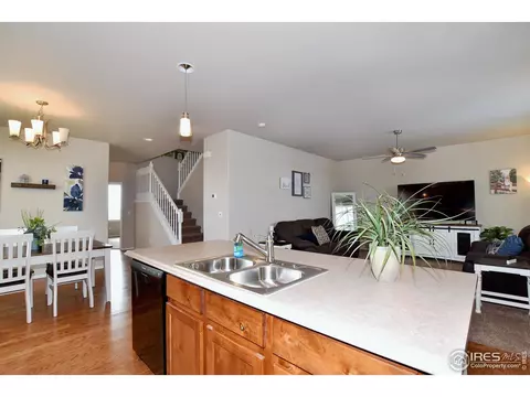 1308 Chamois Dr, Severance, CO 80550 photo 8