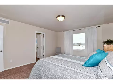 1308 Chamois Dr, Severance, CO 80550 photo 23
