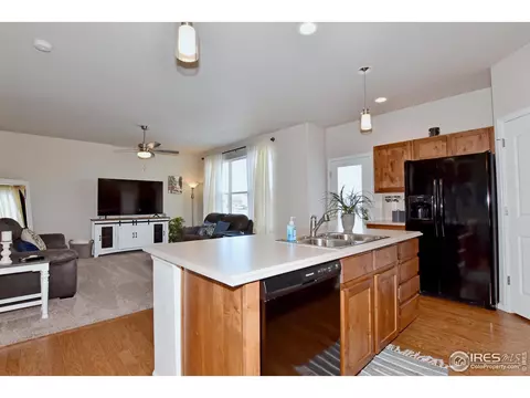 1308 Chamois Dr, Severance, CO 80550 photo 11