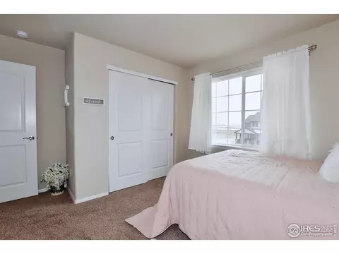 1308 Chamois Dr, Severance, CO 80550 photo 27