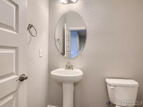 1253 Wild Basin Rd, Windsor, CO 80550 photo 9