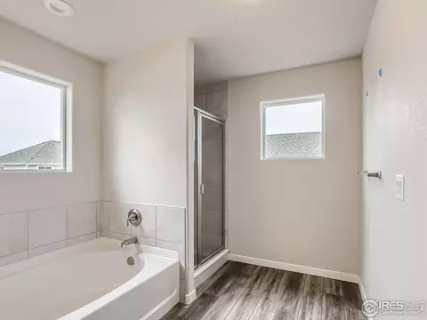 1253 Wild Basin Rd, Windsor, CO 80550 photo 13