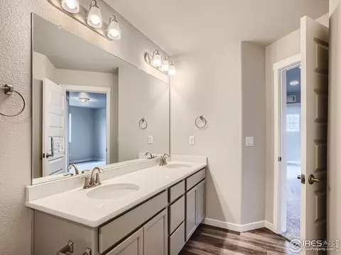 1253 Wild Basin Rd, Windsor, CO 80550 photo 15