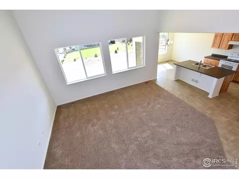 979 Greenbrook Dr, Windsor, CO 80550 photo 13