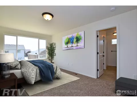 979 Greenbrook Dr, Windsor, CO 80550 photo 8