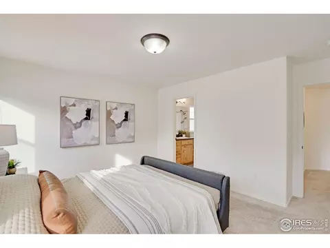 1003 Axis Dr, Windsor, CO 80550 photo 17
