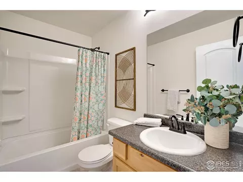 1003 Axis Dr, Windsor, CO 80550 photo 20