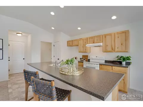 1003 Axis Dr, Windsor, CO 80550 photo 9