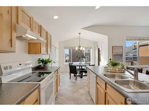1003 Axis Dr, Windsor, CO 80550 photo 13