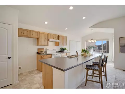 1003 Axis Dr, Windsor, CO 80550 photo 10